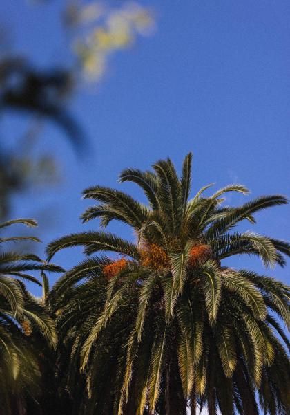 La Villa Nice Promenade - Standards de température